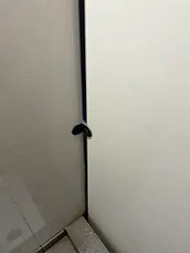 Johnlim880 online show from 01-10-26, 04:52