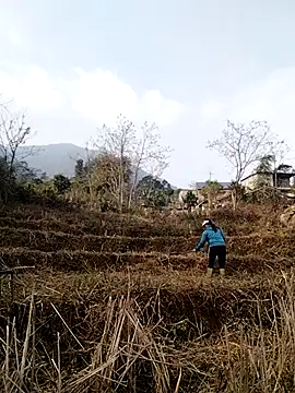 alycen online show from 01-13-26, 02:37