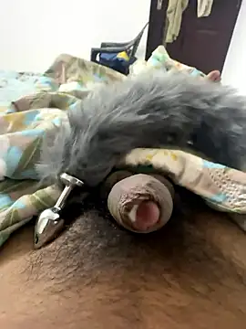 Indian slave dog online show from 01-18-26, 01:53