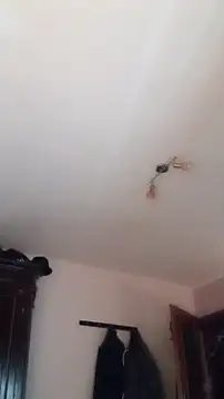 Der Schoene Penis online show from 01-11-26, 01:07