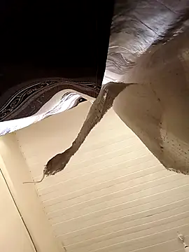 shanicollete online show from 01-15-26, 04:27