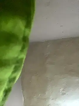 Snapshot of kwandero1234 chatting on 01-12-26, 07:42 kwandero1234 online show from 01-12-26, 07:42