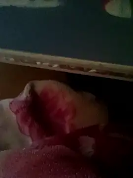 thich lo online show from 01-15-26, 06:17