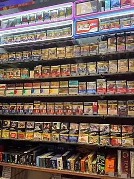 Dominic2295 online show from 02-13-26, 05:07