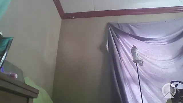 jojosbizarrelyf online show from 01-09-26, 03:30