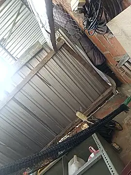 cielo420 online show from 01-07-26, 04:12