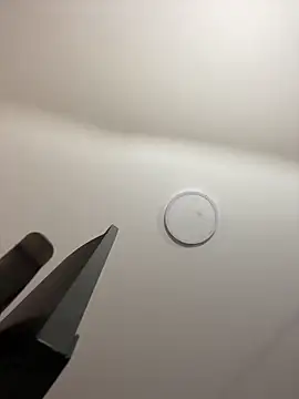 Michelle ec online show from 03-07-26, 03:06