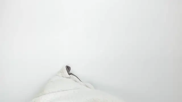 Sarah sumemers online show from 03-04-26, 08:16