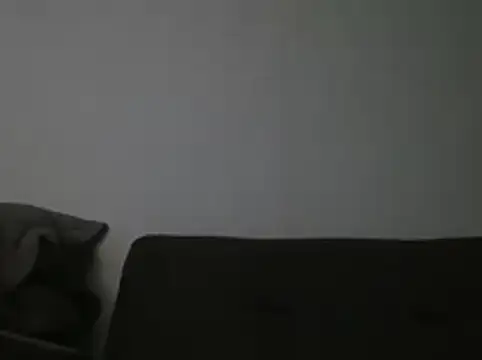 RAFAELQUINTEROSCAVALHEI online show from 07-21-26, 10:22