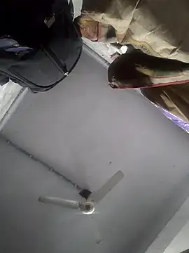 HadDrawers online show from 02-05-26, 07:37