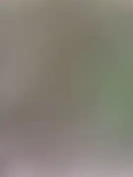 wy2026 online show from 04-03-26, 12:06