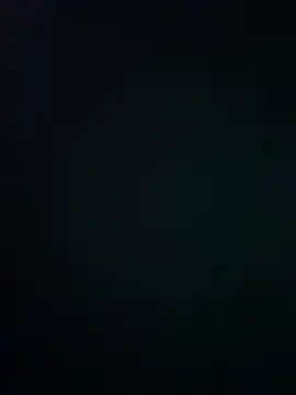 wy2026 online show from 03-12-26, 07:29