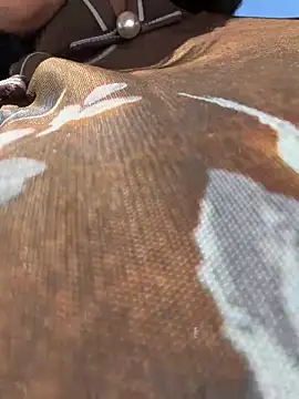 wy2026 online show from 04-10-26, 05:25