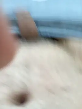 kazikli2 online show from 01-06-26, 09:52