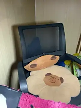 Snapshot of An-An19 chatting on 02-17-26, 02:47 An-An19 online show from 02-17-26, 02:47