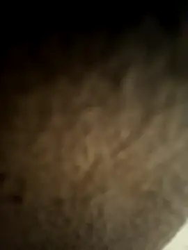 kingEgyptianRr online show from 02-13-26, 07:14