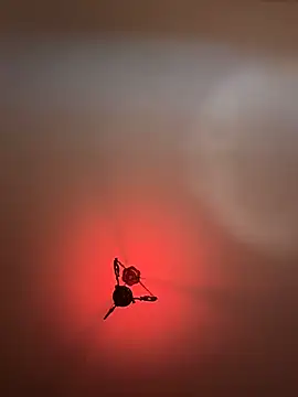 witchdub online show from 02-24-26, 02:07