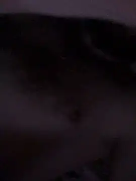 Di717 online show from 03-23-26, 09:25