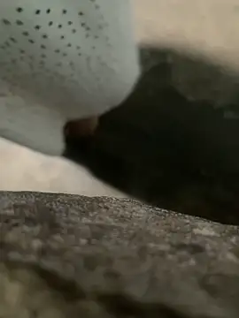 Ginny 2x online show from 03-07-26, 09:31