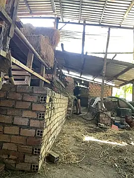 Ginny 2x online show from 02-20-26, 06:26