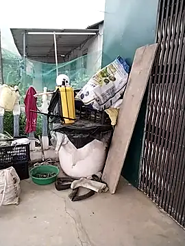 waaini99 online show from 04-01-26, 11:45