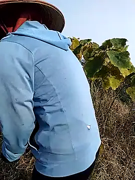 waaini99 online show from 01-12-26, 01:56