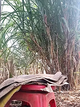 leona118 online show from 04-03-26, 01:01