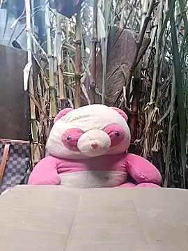 leona118 online show from 02-11-26, 01:27