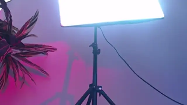 KimiNaru online show from 03-03-26, 04:25