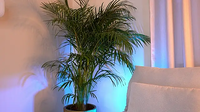 Tinydoll XO online show from 02-09-26, 03:32