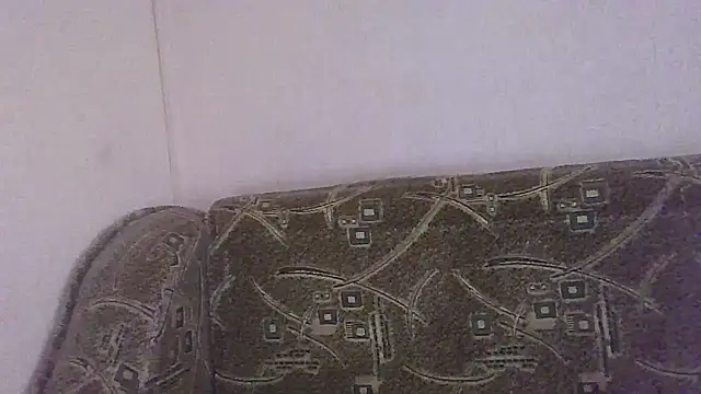 Norma Wall online show from 07-02-26, 03:23