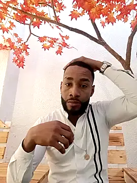 Dante Knox online show from 02-12-26, 11:43