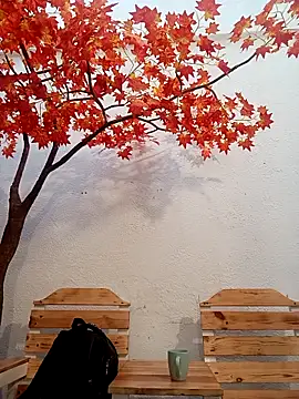 Dante Knox online show from 04-17-26, 11:24