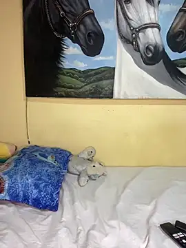 Shayla--broos online show from 02-20-26, 05:59