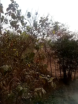 DesiPlayboy09 online show from 02-22-26, 08:28