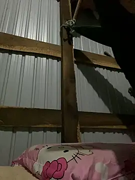 Xo xo237 online show from 01-17-26, 08:23