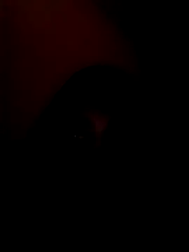 arushi bb online show from 01-15-26, 03:37