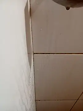 gordaomg42 online show from 01-11-26, 12:34