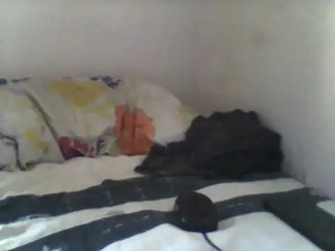 handsomeguy02 online show from 04-14-26, 02:44