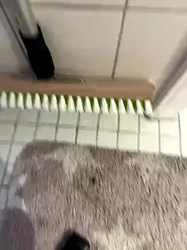 Hamsterdich online show from 01-18-26, 03:59