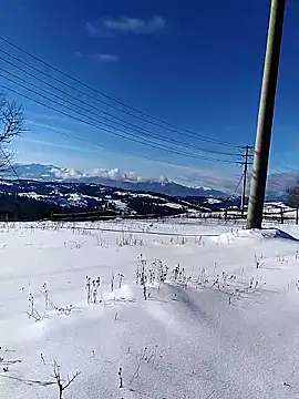 Ivan9iutt online show from 01-15-26, 10:51