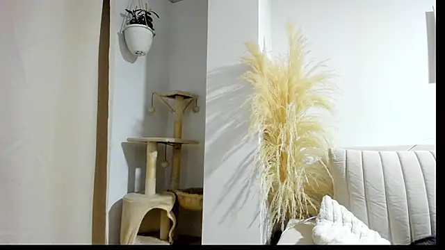  Sweet ary online show from 04-08-26, 02:57