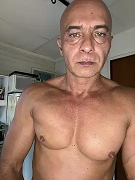 dogfrota online show from 02-06-26, 08:27