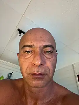 dogfrota online show from 03-08-26, 05:38