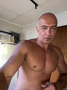 dogfrota online show from 02-26-26, 08:31