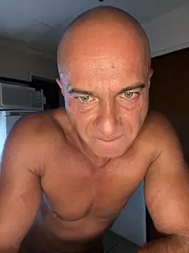 dogfrota online show from 03-07-26, 03:35