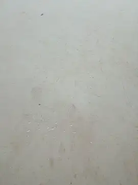 Lyly-68688 online show from 04-15-26, 01:00