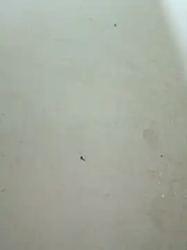 Snapshot of Lyly-68688 chatting on 02-09-26, 02:15 Lyly-68688 online show from 02-09-26, 02:15