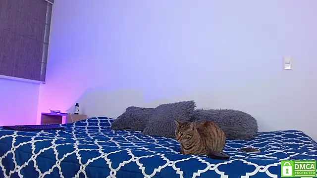 Snapshot of Noyrx chatting on 02-16-26, 06:06 Noyrx online show from 02-16-26, 06:06