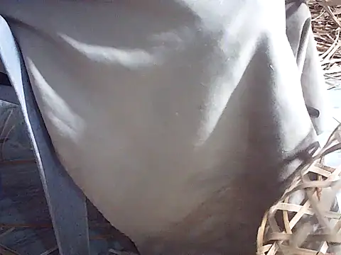 Futar8388 online show from 01-13-26, 12:20